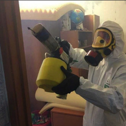 Уничтожение клопов в квартире. Копорье